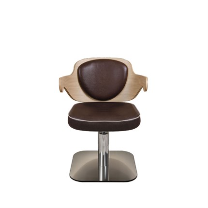 Salon Ambience Embrace Styling Chair