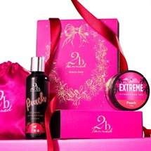 2b Tanned Christmas Tan Accelerator Peach Duo