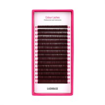 LashBase Classic Colour Lashes Dark Brown