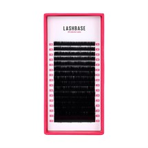 LashBase LBX Classic Lashes