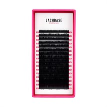 LashBase LBX Volume Lashes